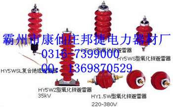 Y5WR-17/45瓷套氧化鋅避雷器