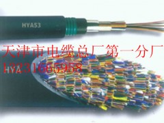 通訊電纜HYAT53通訊電纜用于地埋防潮性能優(yōu)良