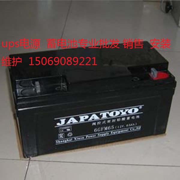 ups電源免維護(hù)蓄電池6GFM65東洋蓄電池JAPATOYO電池現(xiàn)貨