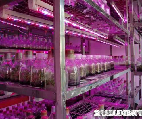 LED植物 溫度傳感器探頭 北京西星光電科技有限公司