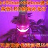 育苗LED植物補(bǔ)光燈_雙軸傾角傳感器高精度_北京西星光電科技有限公司