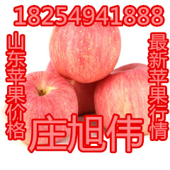 山東蘋(píng)果價(jià)格紅富士蘋(píng)果行情