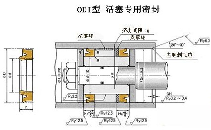 DKI往復(fù)運(yùn)動(dòng)防塵密封   DKI防塵密封圈  NOK密封件