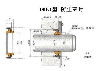 DKBI型往復(fù)運(yùn)動防塵密封件   日本NOK液壓密封件  北京中興利得