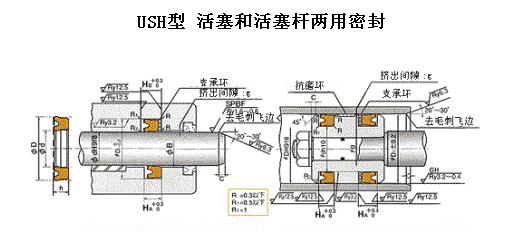 USH活塞活塞桿雙用密封 日本NOK液壓密封件