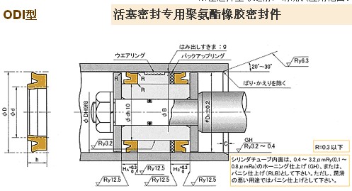 ODI型密封圈 ODI密封圈  日本NOK密封件