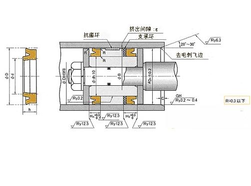 ODI型 活塞專用密封  ODI活塞密封圈  日本NOK密封件