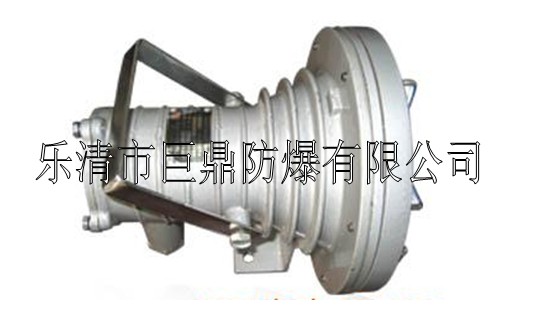 DGC24/127L（A）礦用隔爆型LED投光燈，礦用LED投光燈，24W投光燈