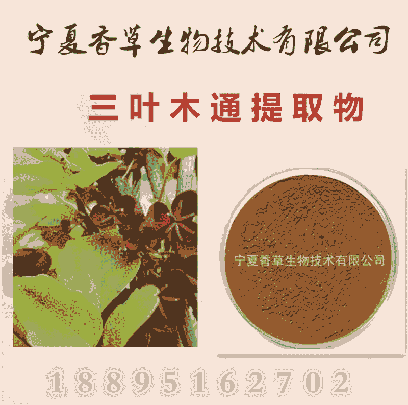 川木通提取物 速溶粉 木通果粉批發(fā) 川木通多糖 濃縮粉水溶性