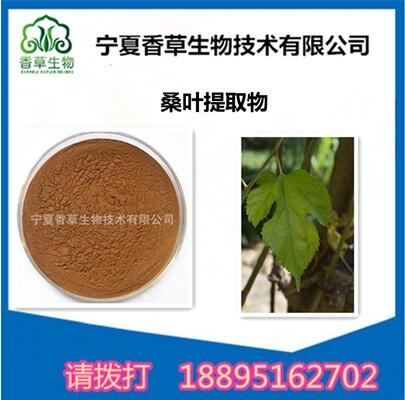 寧夏香草生物桑葉提取物 桑葉黃酮 桑葉多糖  濃縮粉  水溶性粉