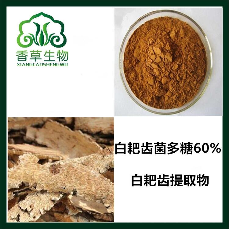 白耙齒菌多糖60% 白耙齒提取物 濃縮粉水溶性 白耙齒菌粉價格