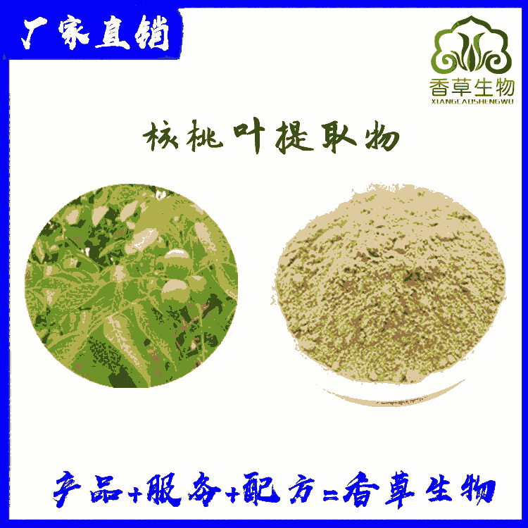 核桃提取物廠家 核桃葉粉 核桃葉濃縮浸膏粉供應(yīng)