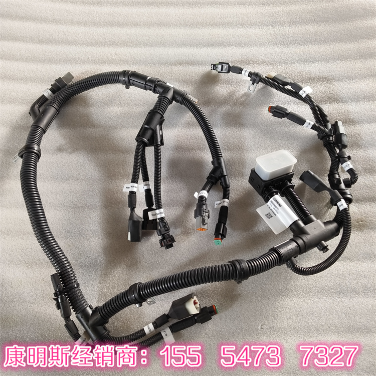 康明斯線束3650849 適用于Stamford PI734B1機(jī)組