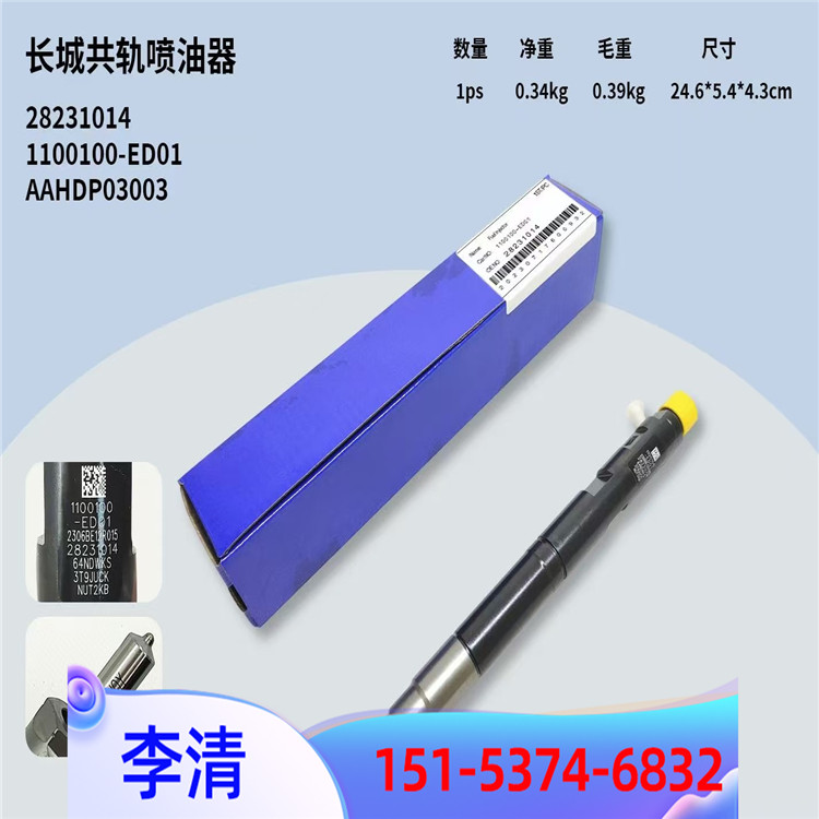 德爾福噴油器42053677檢測(cè)  DelphI燃油系統(tǒng)代理商