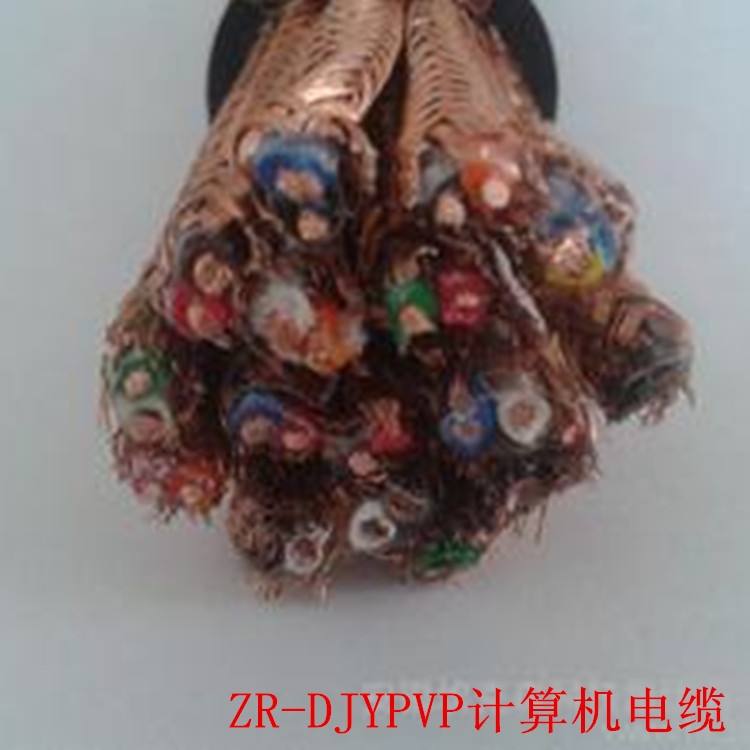 DJYPV DJYPVP電子計(jì)算機(jī)用電纜DJYJVP22