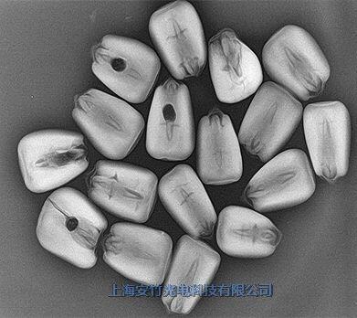 農(nóng)林樹木蟲害檢測儀 農(nóng)林蟲害檢測儀器