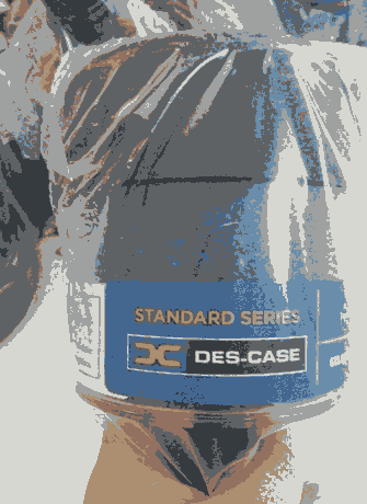 DES-CASEVо