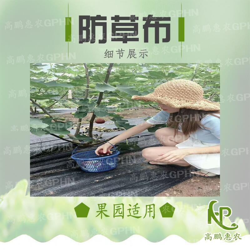 苗圃除草布批發(fā)