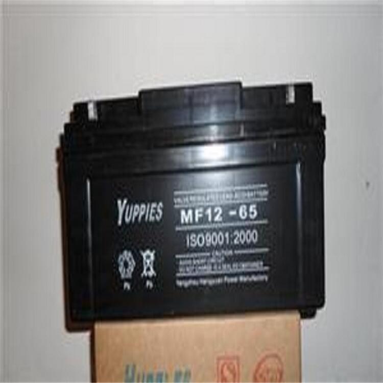 YUPPIES(yu)˹12V65AHֱԴ늳6GFM65  MF12-65ȫ