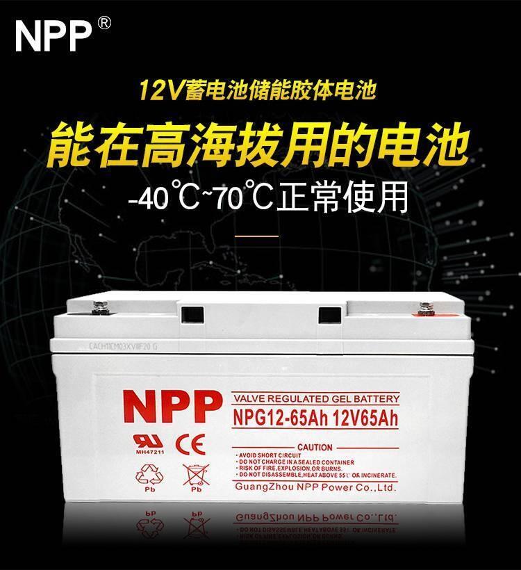 ̫(yng)zw늳12v65ahUPSԴ̖ͨ(ho)NPG12-65AH