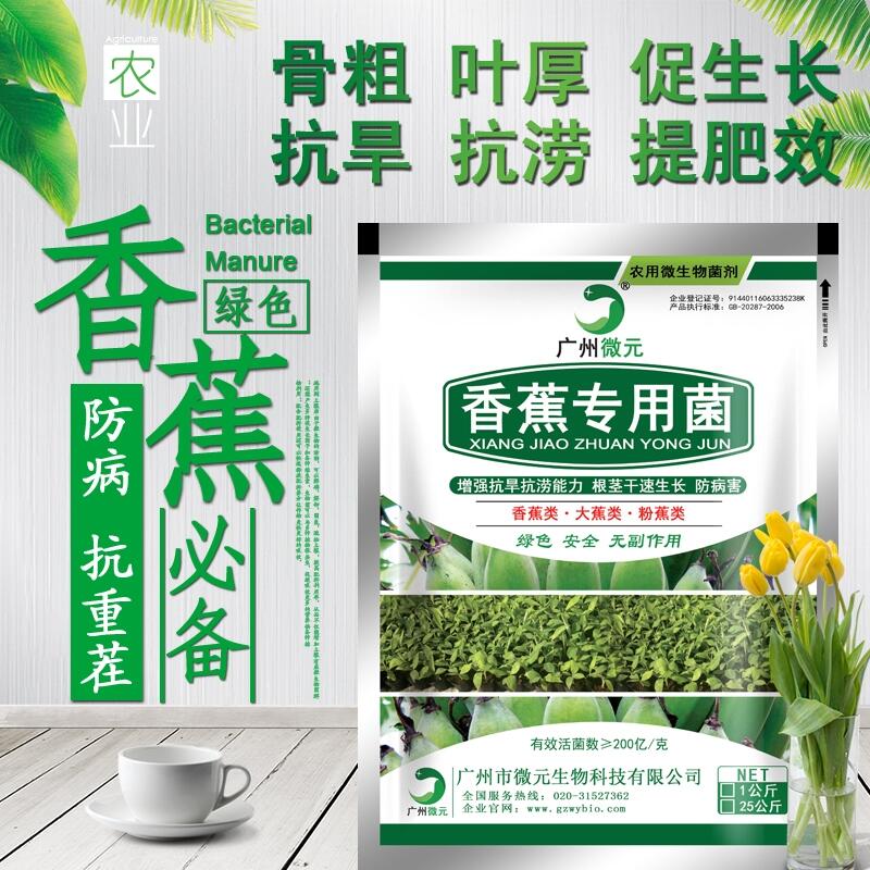 香蕉專用微生物菌劑農(nóng)用復合芽孢桿菌微生物復合功能菌