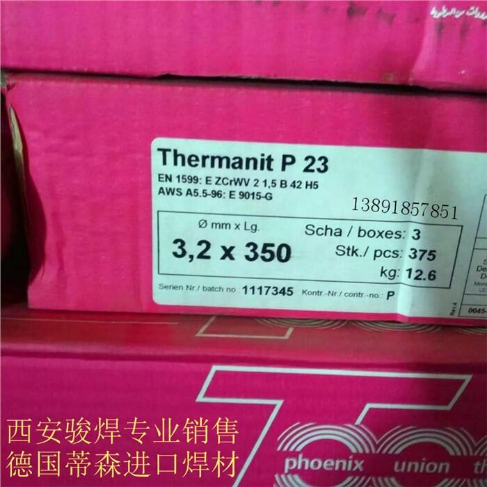 ɭThermanit P23lE9018-Gl T23P23l