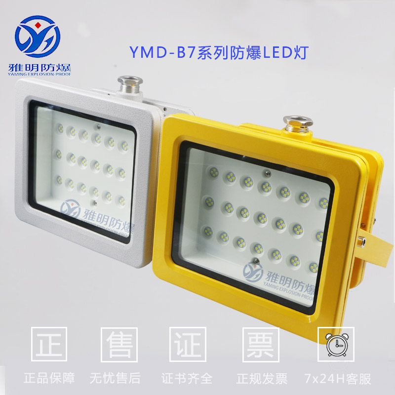 YMD-B2免維護(hù)LED防爆燈 60WLED防爆投光燈