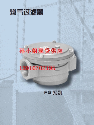 代理批發(fā)意萊克斯FG系列燃燒過濾器