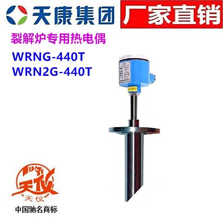 安徽天康熱電偶WRNG WRN2G-440T天儀