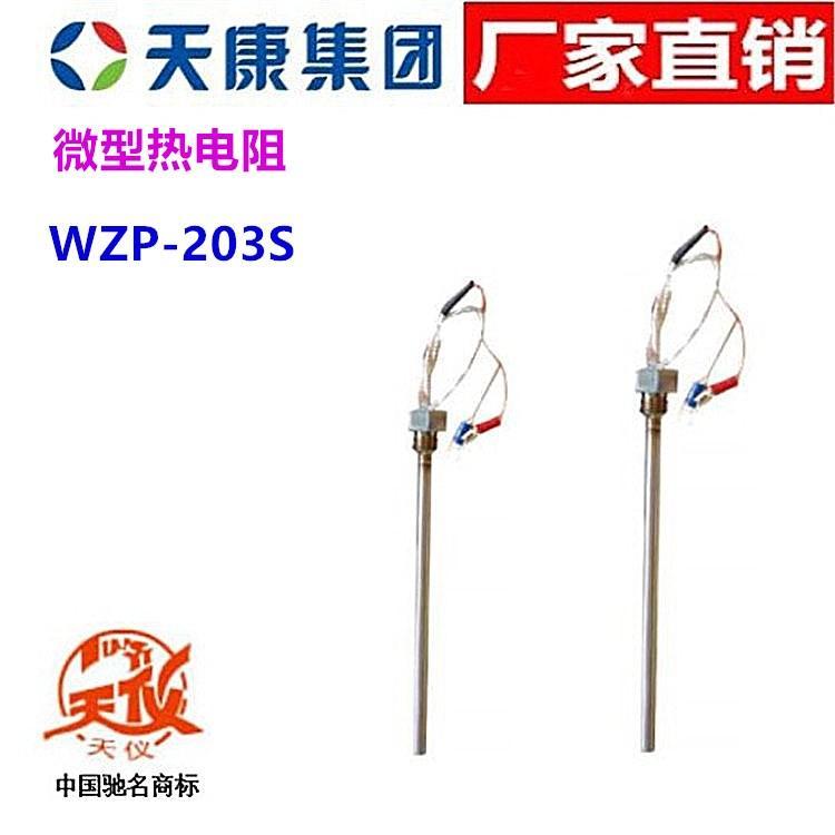 安徽天康熱電阻WZP-203S天儀