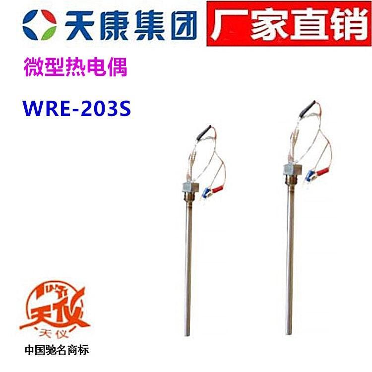 安徽天康熱電偶WRE-203S微型天儀