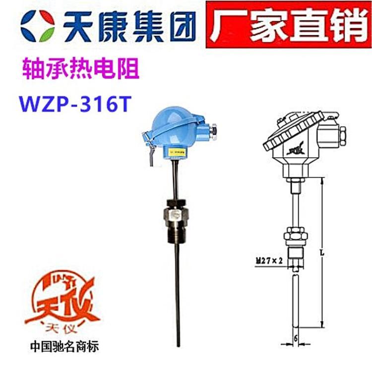 安徽天康熱電阻WZP-316T天儀