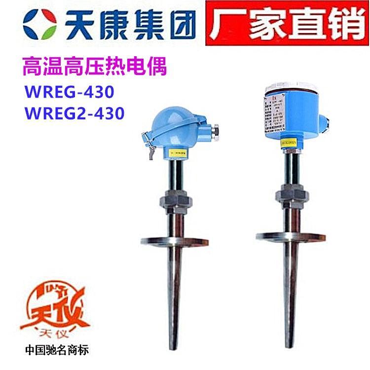 安徽天康熱電偶WREG WRE2G-430天儀高溫高壓