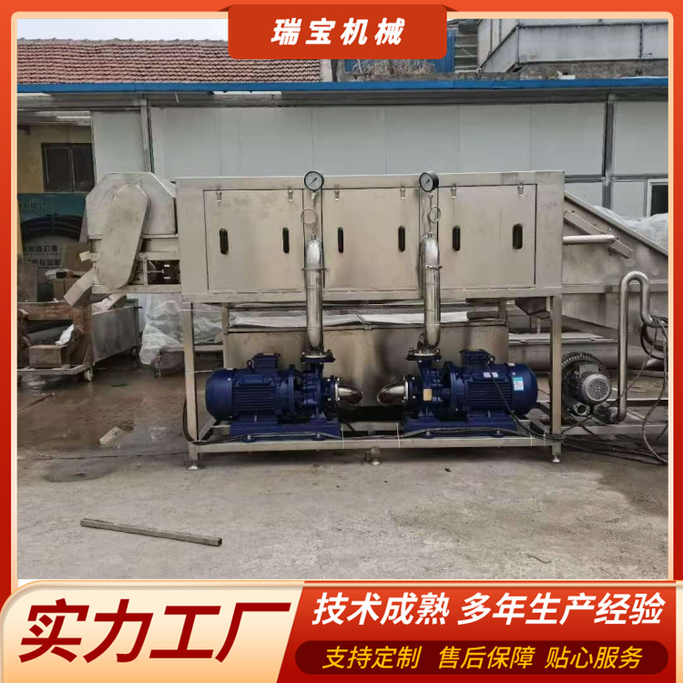 瑞寶高壓噴淋式大型果蔬加工廠(chǎng)用大姜小黃姜清洗機(jī)RB-5000型