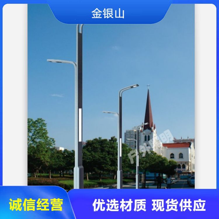 公園道路路燈定制產(chǎn)品路燈類(lèi)型照明工具節(jié)能代能